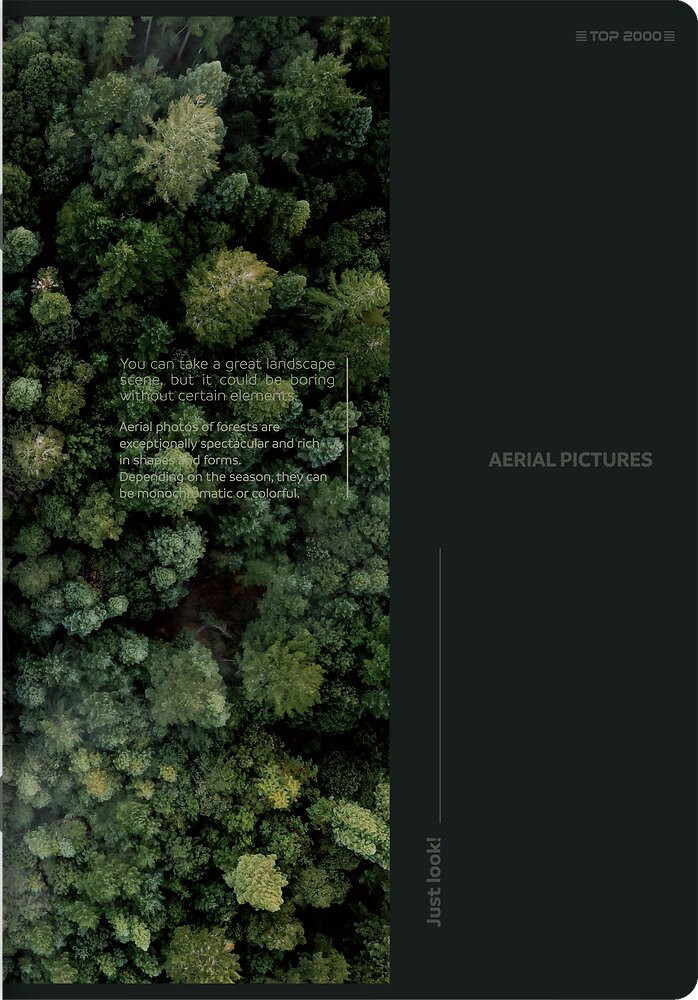 Zeszyt A5/80k kratka Birds Eye 70g TOP2000